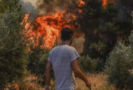 آتش سوزی در مناطق جنگلی چاناک قلعه ترکیه
