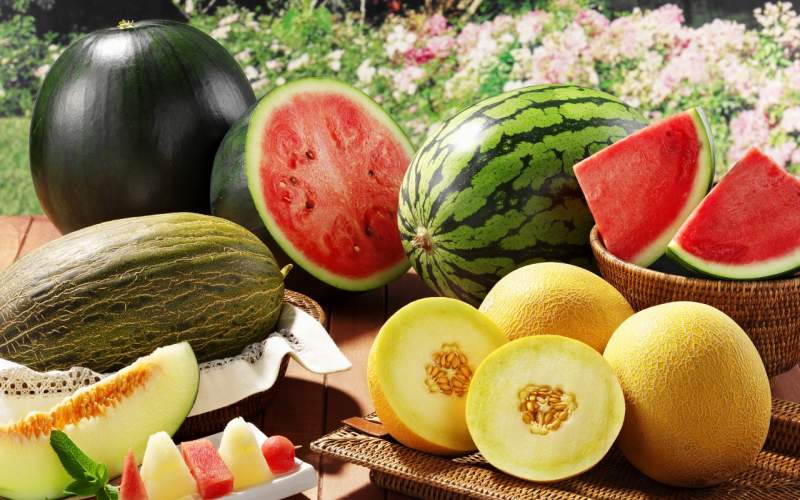 آب بدن را با این میوه‌ها تامین کنید