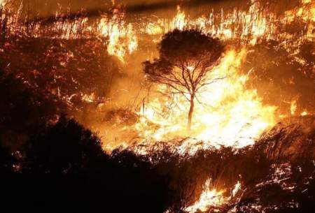 آتش‌سوزی‌های جنگلی در سیسیل ایتالیا  <img src="https://cdn.baharnews.ir/images/picture_icon.gif" width="16" height="13" border="0" align="top">