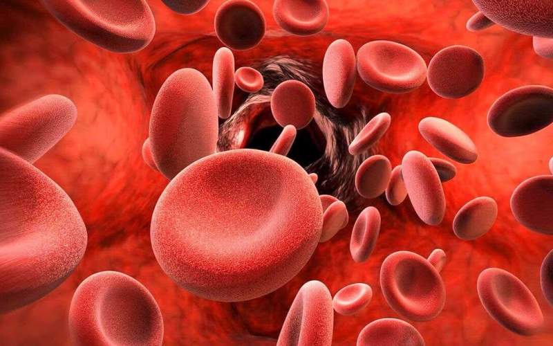 ۱۳ راه درمان طبیعی برای درمان عفونت خونی