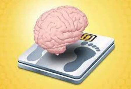 مغز چگونه وزن بدن را تنظیم می‌کند؟