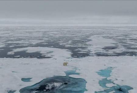 کاهش قابل توجه یخ دریای قطب شمال