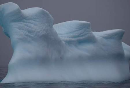 بازمانده یک کوه یخی در جنوبگان