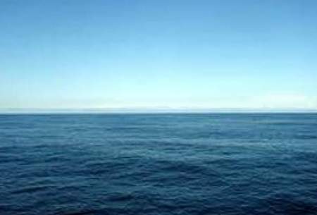 کشف اسرار اقیانوس با نصب دوربین بر کوسه