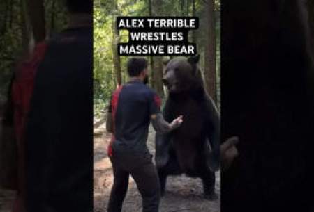 دیدار خرس غول‌پیکر با مردی که او را نجات داد