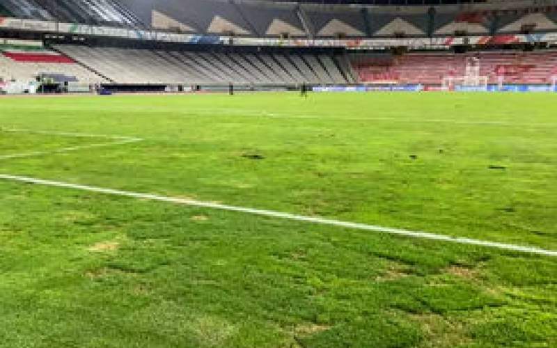 چمن این پارک از استادیوم آزادی خیلی بهتر است