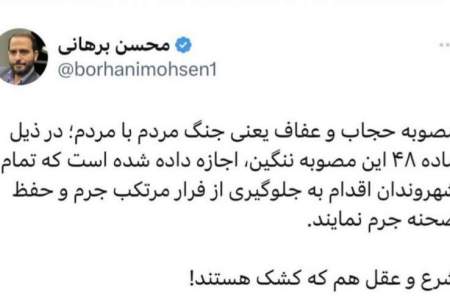 نظر محسن برهانی «حقوقدان» درباره مصوبه موسوم به حجاب