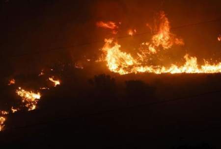 آتش‌سوزی جنگلی در جزیره سیسیل ایتالیا  <img src="https://cdn.baharnews.ir/images/picture_icon.gif" width="16" height="13" border="0" align="top">