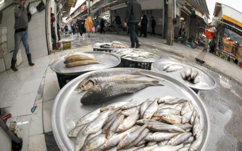 قیمت انواع ماهی ۴ مهر ۱۴۰۲/جدول