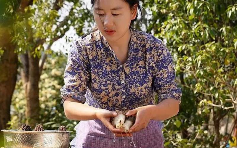 روش دختر روستایی برای برداشت قارچ
