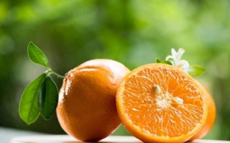 خواص آب نارنج و کاربردهای آن را بشناسید