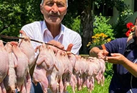 کباب کردن متفاوت ۲۲ مرغ‌ توسط خانواده‌ آذربایجانی