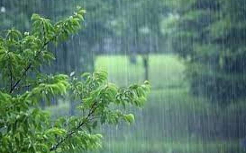 رگبار باران و خیزش گردوخاک دربرخی نقاط کشور