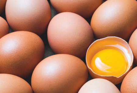 تشخیص تخم‌مرغ سالم با ۵ روش ساده