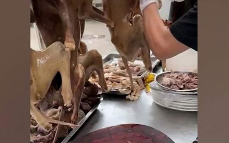 ویدئویی از فروش کله پاچه سگ در چین