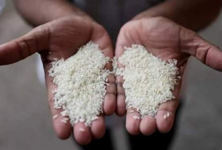 مالزی برای کاهش قیمت برنج چه می‌کند؟