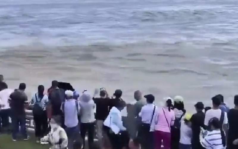 موج ناگهانی دریا ده‌ها نفر را سرنگون کرد/فیلم