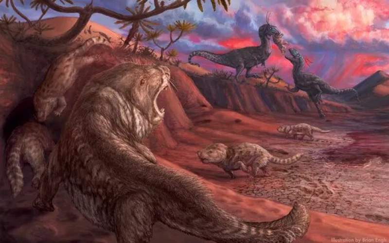 کشف فسیل‌هایی «بسیار نادر» از دل خاک!