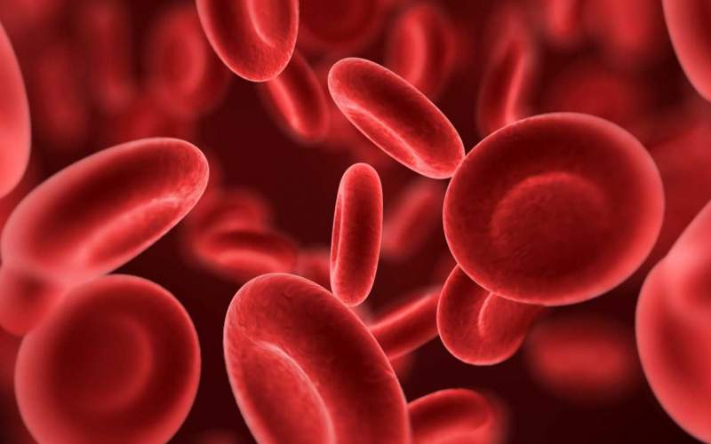 راهکار سریع برای درمان کم خونی را بشناسید
