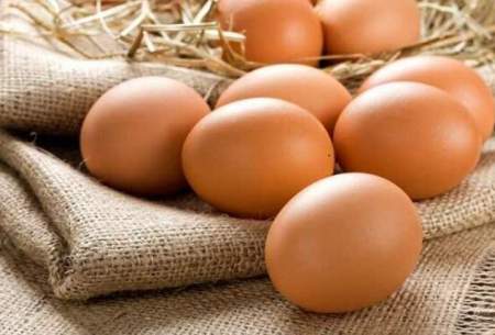 با خواص شگفت انگیز تخم مرغ آشنا شوید