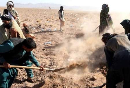 حفر قبر برای ۲۴۰۰ زلزله‌زده افغان /فیلم