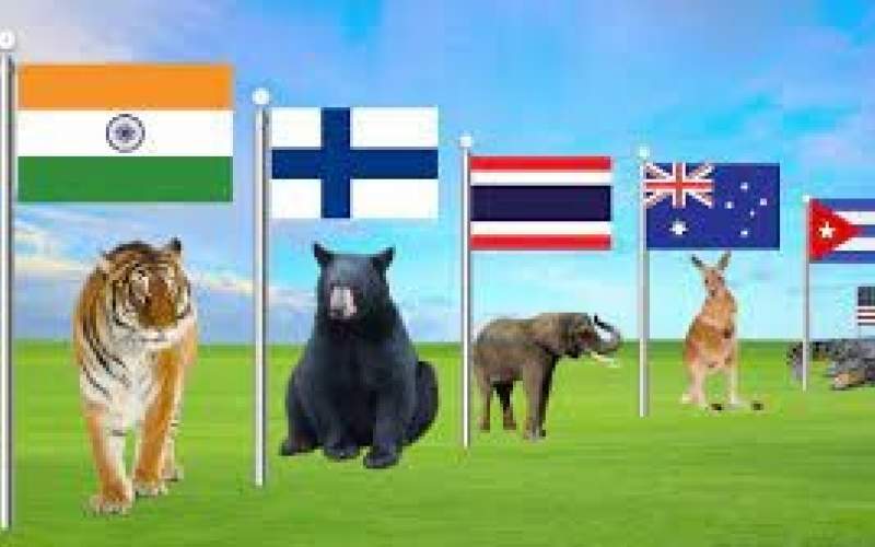حیوان نماد کشورهای مختلف جهان را بشناسید