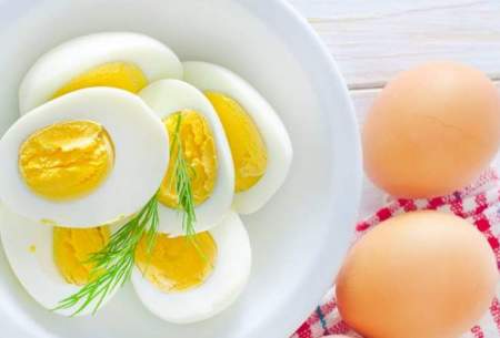 هر روز یک عدد تخم مرغ بخورید