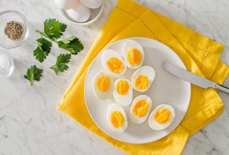 تخم‌مرغ منبع ارزشمندی از پروتئین باکیفیت است