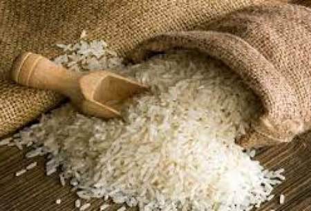 قیمت جدید برنج هندی اعلام شد/جدول