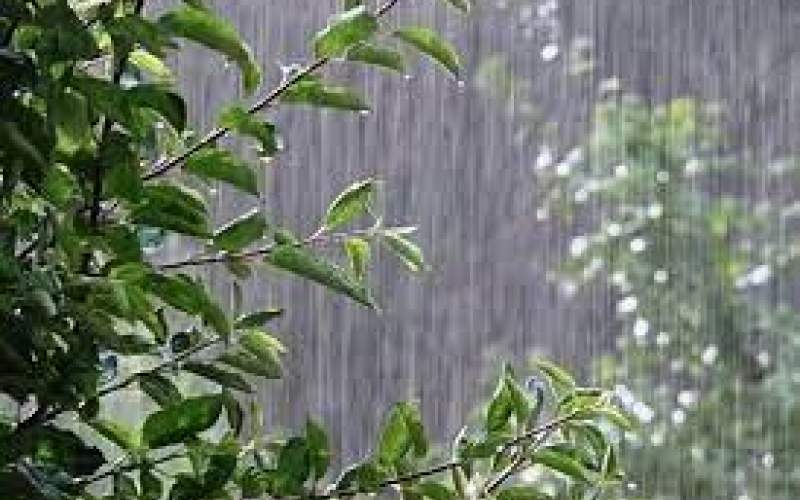 بارش پراکنده در تهران؛افزایش دما تا یکشنبه
