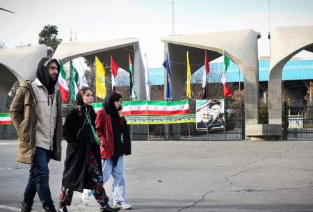 سهم مردان و زنان دانشگاه رفته از بازار کار ایران