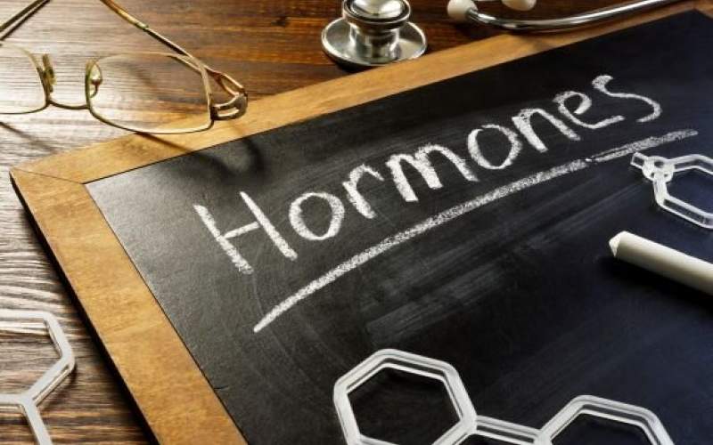 چند ماده غذایی برای حفظ تعادل هورمون‌ها