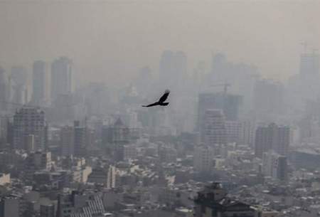 کدام کشورها برای آلودگی هوا برنامه پیشگیرانه دارند؟
