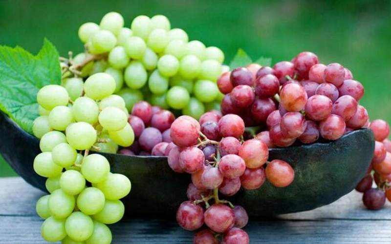 تاثیراین میوه روی بهبود سلامت و طول عمر