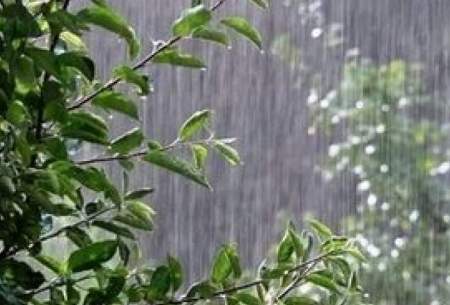 ویدئویی از بارش شدید و شبانه باران در عسلویه