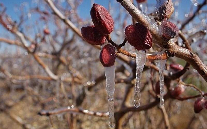 ثبت نخستین دمای زیر صفر در استان تهران