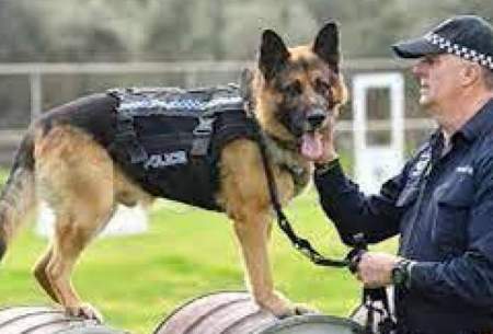 مراسم بامزه بازنشسته شدن سگ پلیس