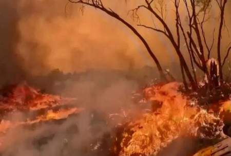 آتش‌سوزی‌های گسترده جنگلی در کوئینزلند/فیلم