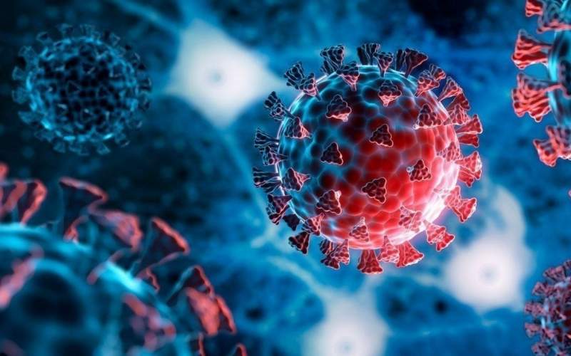 سه توصیه مهم بهداشتی در مقابله با ویروس‌ها