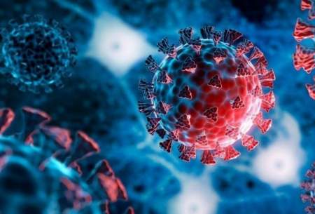 سه توصیه مهم بهداشتی در مقابله با ویروس‌ها
