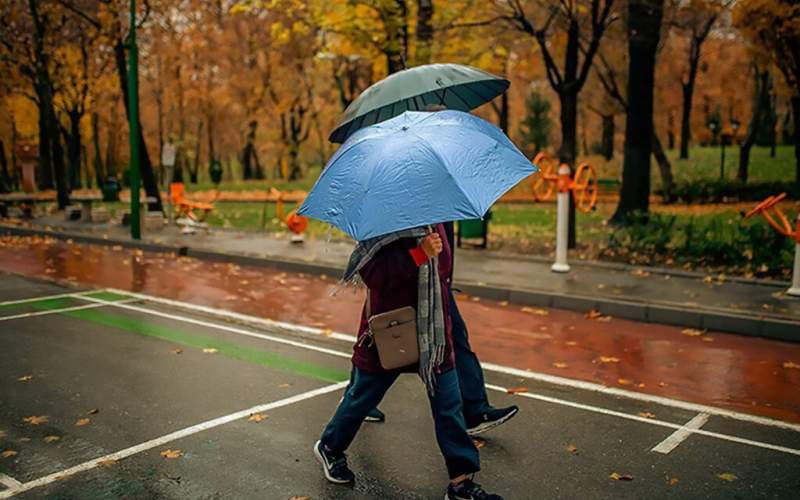 این مناطق از فردا بارانی و برفی می‌شوند