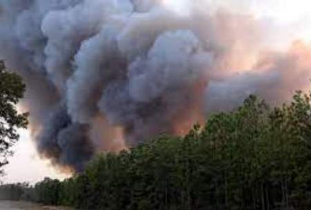 ویدئویی از آتش‌سوزی‌ هولناک جنگل‌های هیرکانی