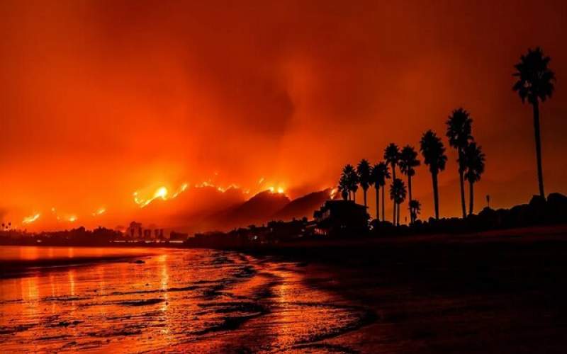 آتش‌سوزی‌جنگلی موجب‌رشد حیات‌دریایی می‌شود