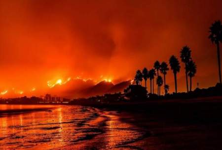 آتش‌سوزی‌جنگلی موجب‌رشد حیات‌دریایی می‌شود
