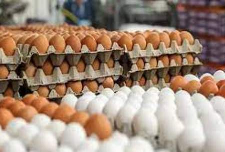 روند توزیع تخم مرغ مناسب نیست