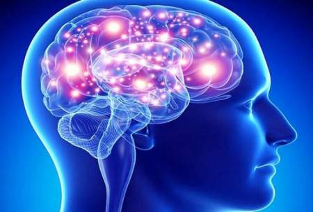 نقش تازه ی «دوپامین» در مغز انسان کشف شد