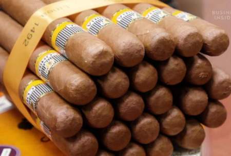 فرآیند تولید گران ترین سیگارهای کوبایی جهان