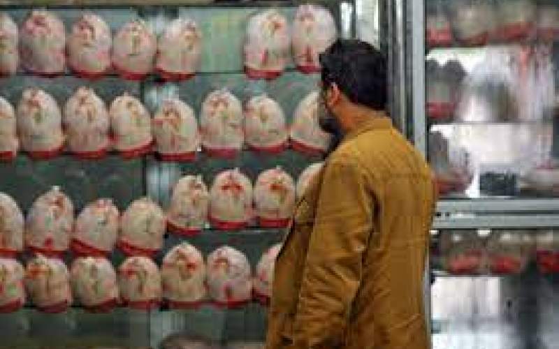 ویدئویی عجیب از اوضاع آشفته قیمت مرغ در تهران