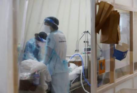 شیوع زیرسویه جدید ویروس کرونا در ژاپن