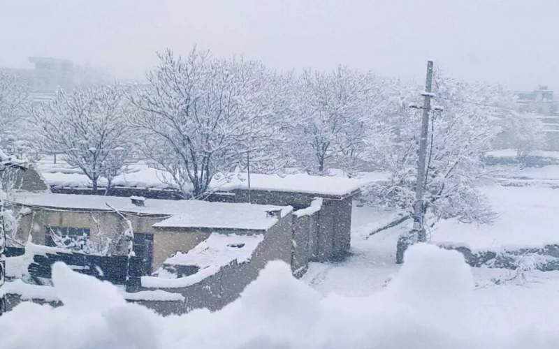 آغاز بارش برف و باران در ۹ استان بارش